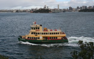 Distinctive ferry